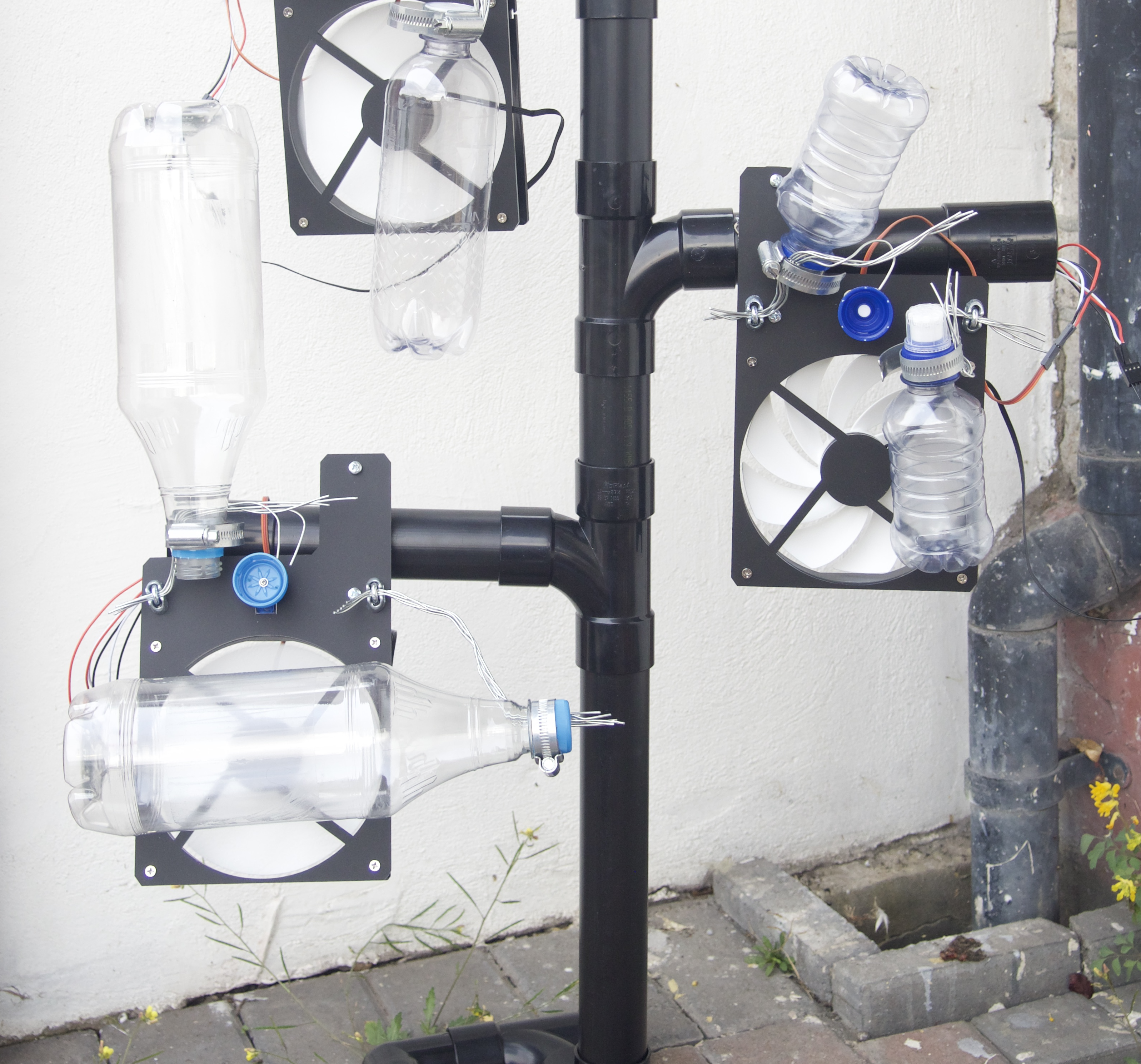 Fossil Forest cover image